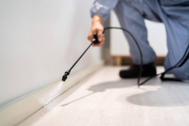 Licensed Mosquito Control service in Whidbey Island Station, WA - Show Me Pest Control