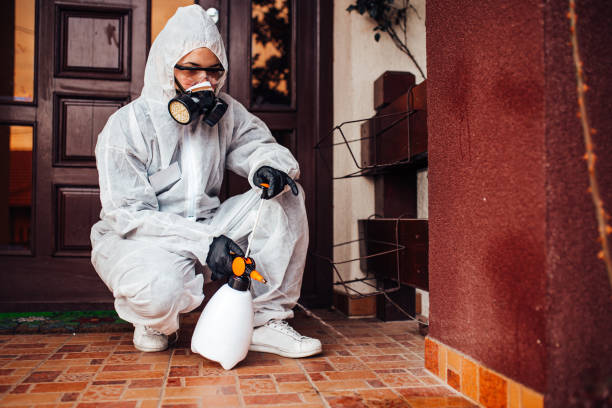 Reliable Mosquito Control contractor in Whidbey Island Station, WA by Show Me Pest Control